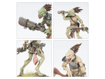 Kroot Carnivores (Warhammer 40k, Tau Empire)