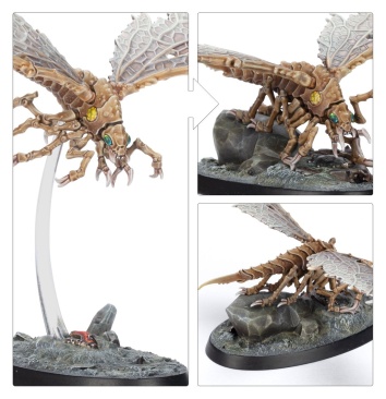 Ashwing Helamites