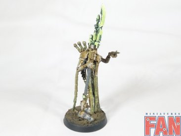 Warhammer 40000 Necron Plasmancer (Pro-Painted)