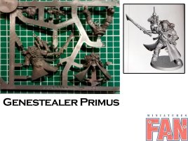 Deathwatch Overkill Genestealer Primus