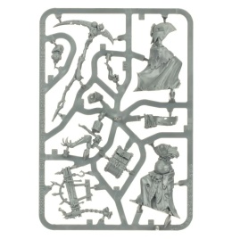 Rotbringer Sorcerer (предзаказ 2024)